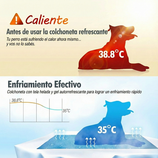 Colchoneta de Gel Auto-Refrescante IceComfort™ + REGALO: Cepillo Vapor